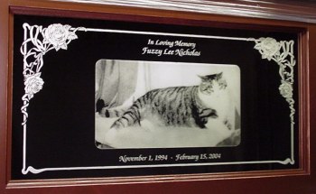 In Loving Memory
Fuzzy Lee Nicholas