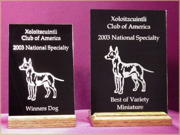 Xoloitzcuintli Club of America
2003 National Specialty
Winners Dog and Best of Variety Miniature