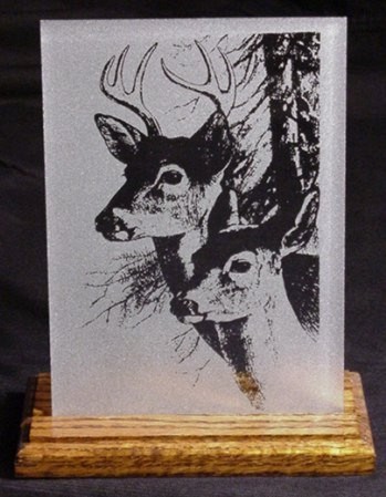 Buck & Doe
5 x 7 Glass Panel on Oak Stand
$25.00 plus $7.50 shipping