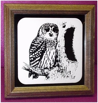 Owl on Branch
6 x 6 Mirror in Frame - $25.00
plus $7.50 shipping & handling