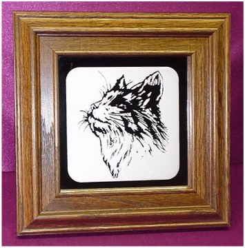 Cat's Head
5 x 5 Framed Mirror - $20.00
plus $6.25 shipping & handling